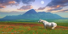 Horse in Flowers II