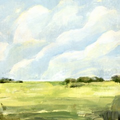 Open Fields I