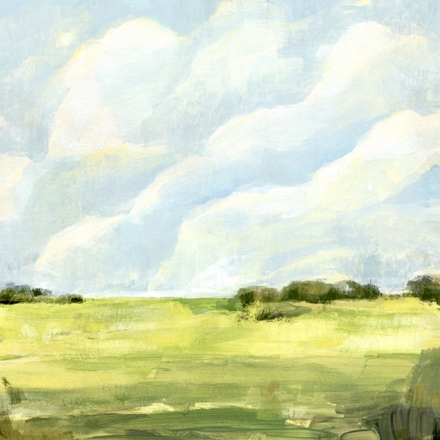 Open Fields I