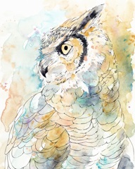 Owl Majestic I
