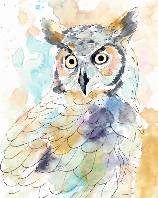 Owl Majestic II