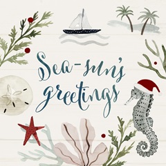 Sun-kissed Christmas IV