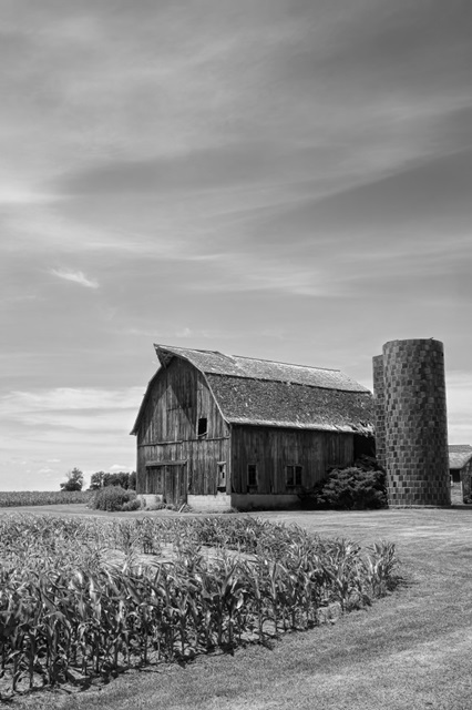 Farm Serenity II