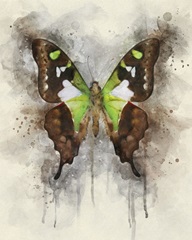 Natural Abstraction I