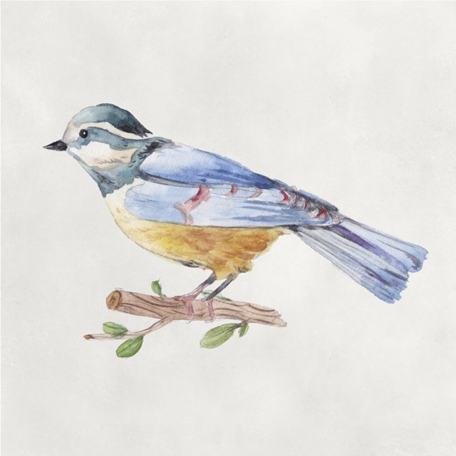 Bird Sketch V
