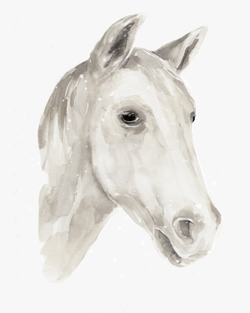 Ivory Stallion I