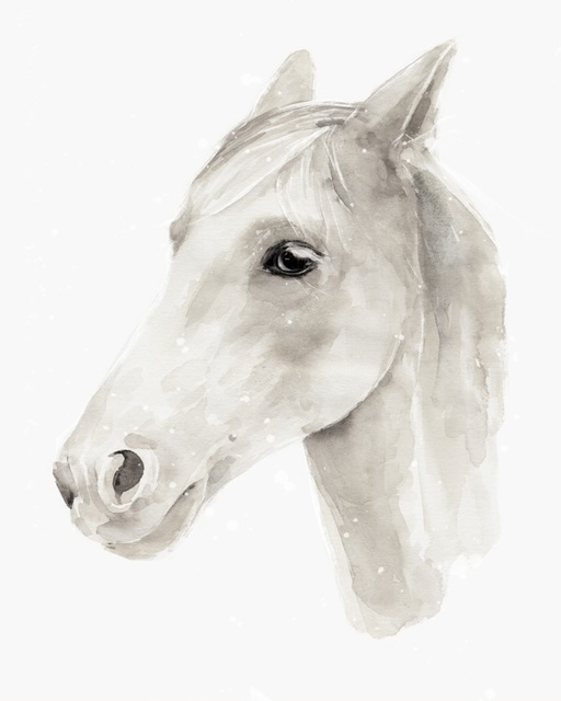 Ivory Stallion II