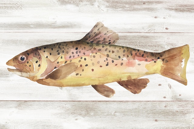 Spotted Trout I