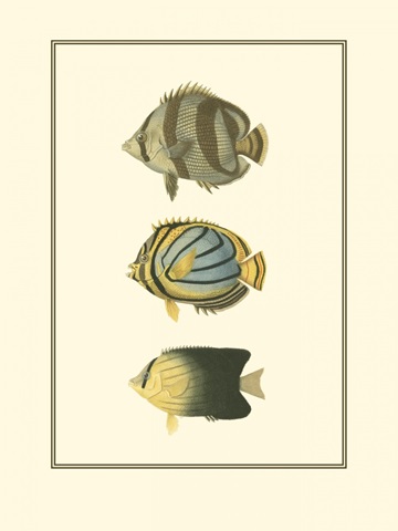 Antique Tropical Fish IV