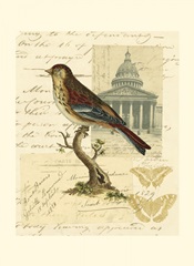 Naturalist's Collage I