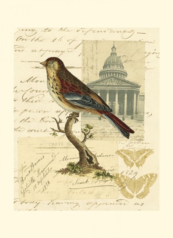 Naturalist's Collage I