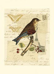 Naturalist's Collage II