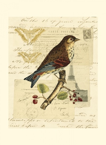 Naturalist's Collage II
