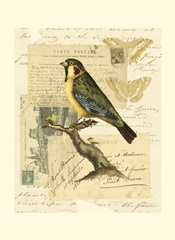 Naturalist's Collage III