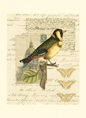 Naturalist's Collage IV