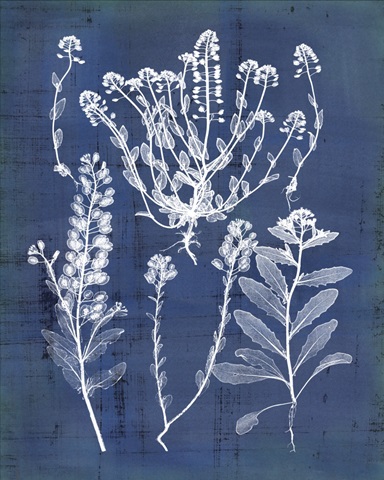 Nature's Imprint III