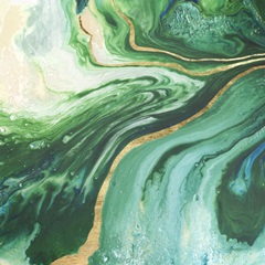 Embellished Amazonian I