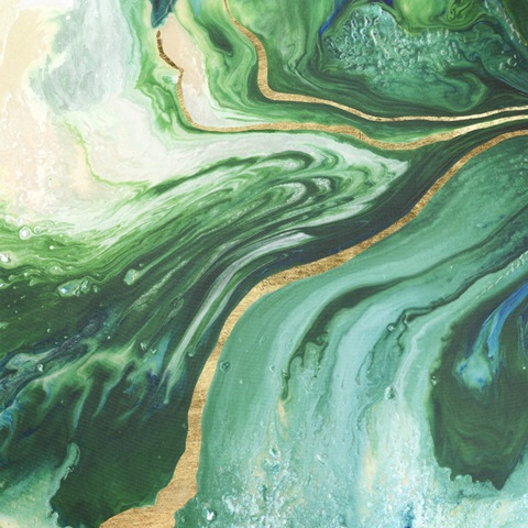 Embellished Amazonian I