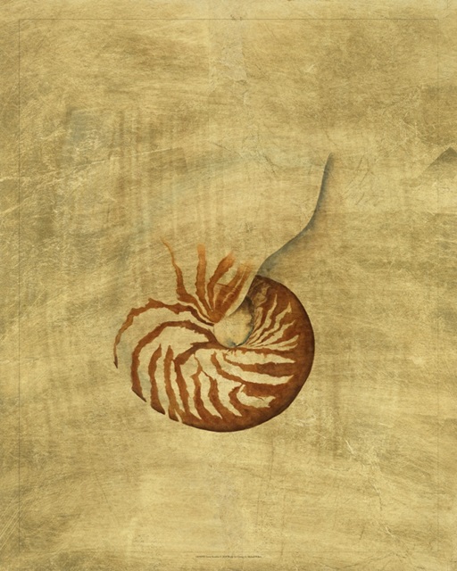 Lustr Nautilus