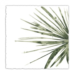 Verdant Impressions IV