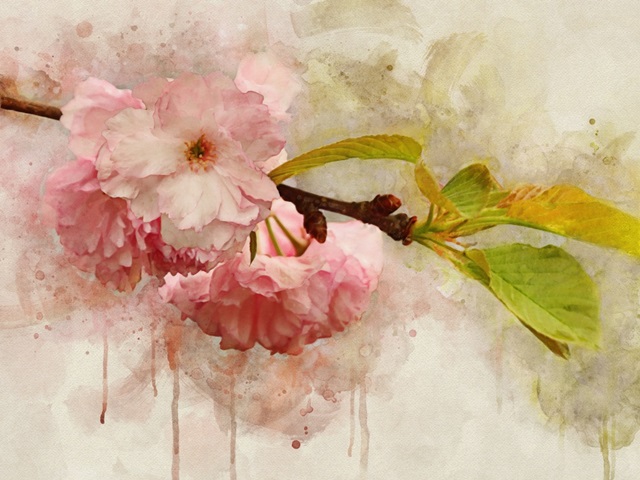 Blossom Elegance I