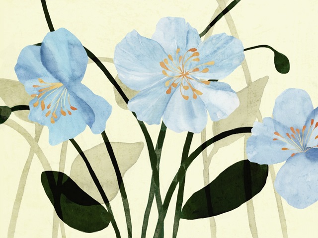 Blue Poppies I