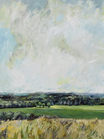 Mount Jeez Overlook I