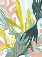 Coral Garden II