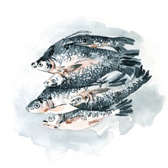 Fish for Dinner II
