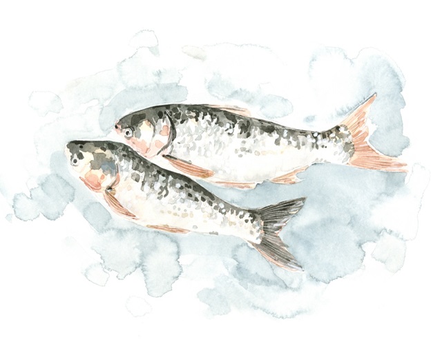 Pisces Pair I