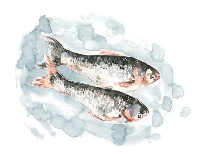 Pisces Pair II