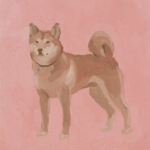 Shiba Inu II