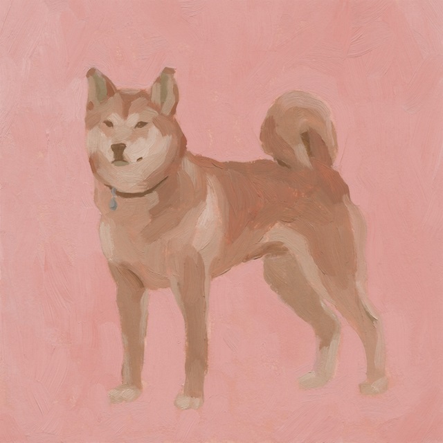 Shiba Inu II