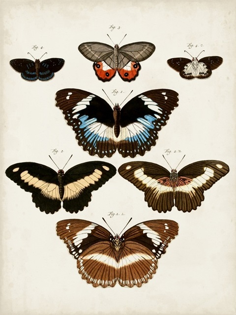 Vintage Butterflies II