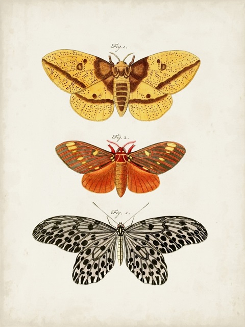 Vintage Butterflies IV