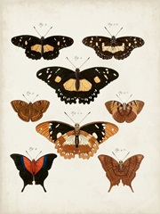 Vintage Butterflies V