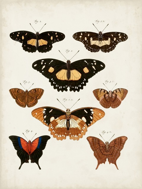 Vintage Butterflies V