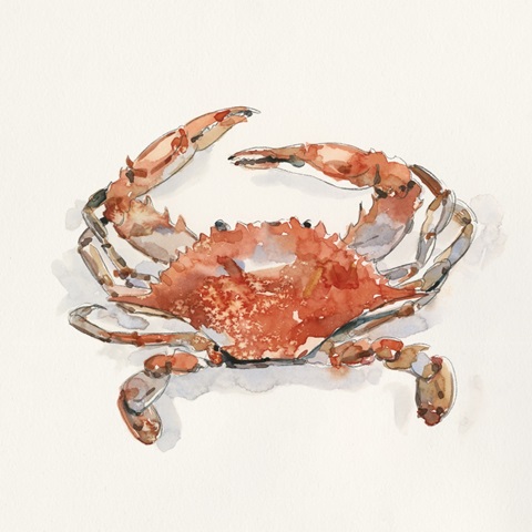 Crusty Crab II