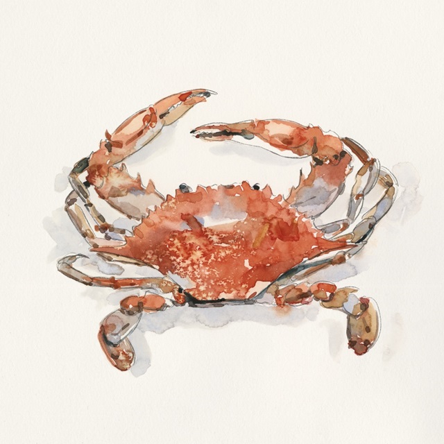 Crusty Crab II