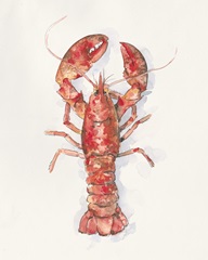 Salty Lobster I