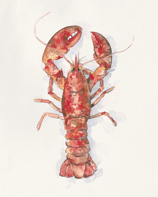 Salty Lobster I