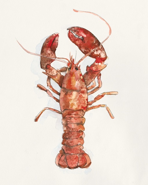 Salty Lobster II