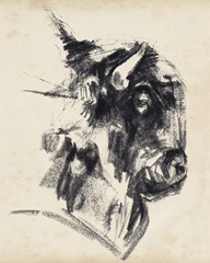 Bison Head Gesture I