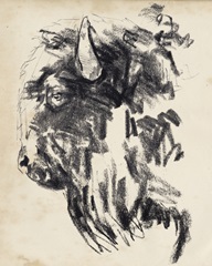 Bison Head Gesture II