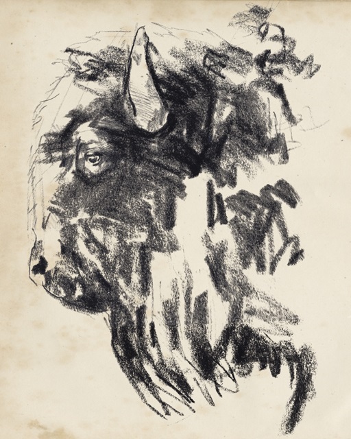 Bison Head Gesture II