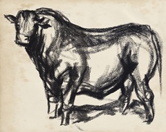 Black Angus II