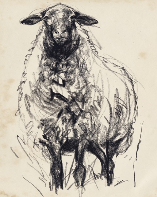 Charcoal Sheep I