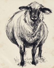 Charcoal Sheep II