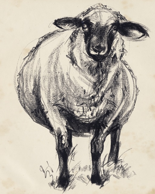 Charcoal Sheep II