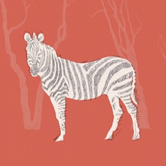 Plains Zebra II